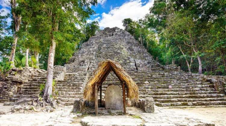 Cobá